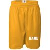 Pro Mesh 9" Shorts Thumbnail